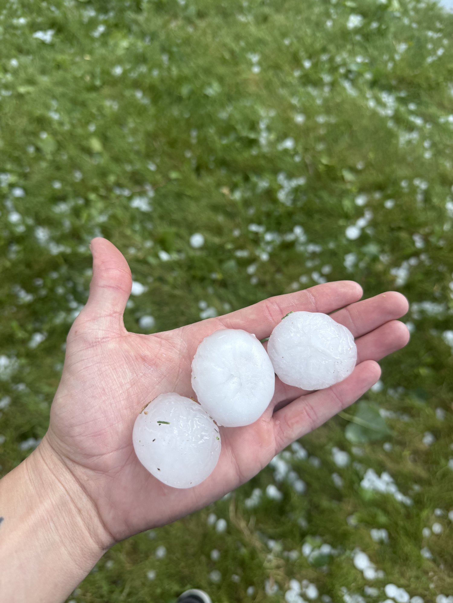 Golf-ball sized hail collected after a Colorado Front Range storm