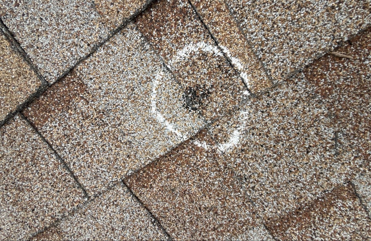 Hail impact mark circled on an asphalt shingle showing granule loss and exposed mat